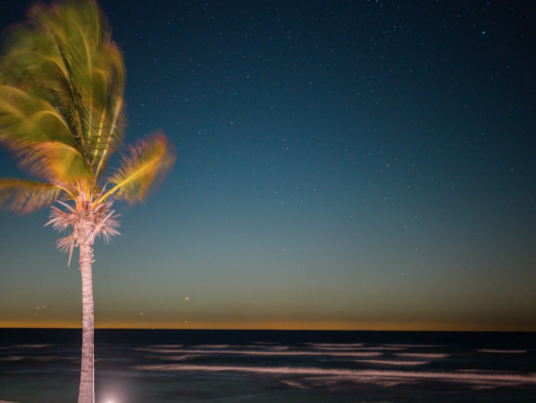Luxurious Beach Villa in Bimini Bay - Your Ultimate Coastal Retreat